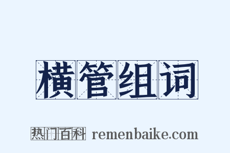 横管组词是什么意思的图片